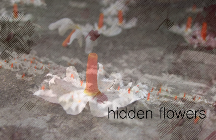 Hidden flowers