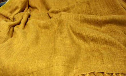Maharanis, construction workers, ICS officers – a saree wearer’s longish ramble