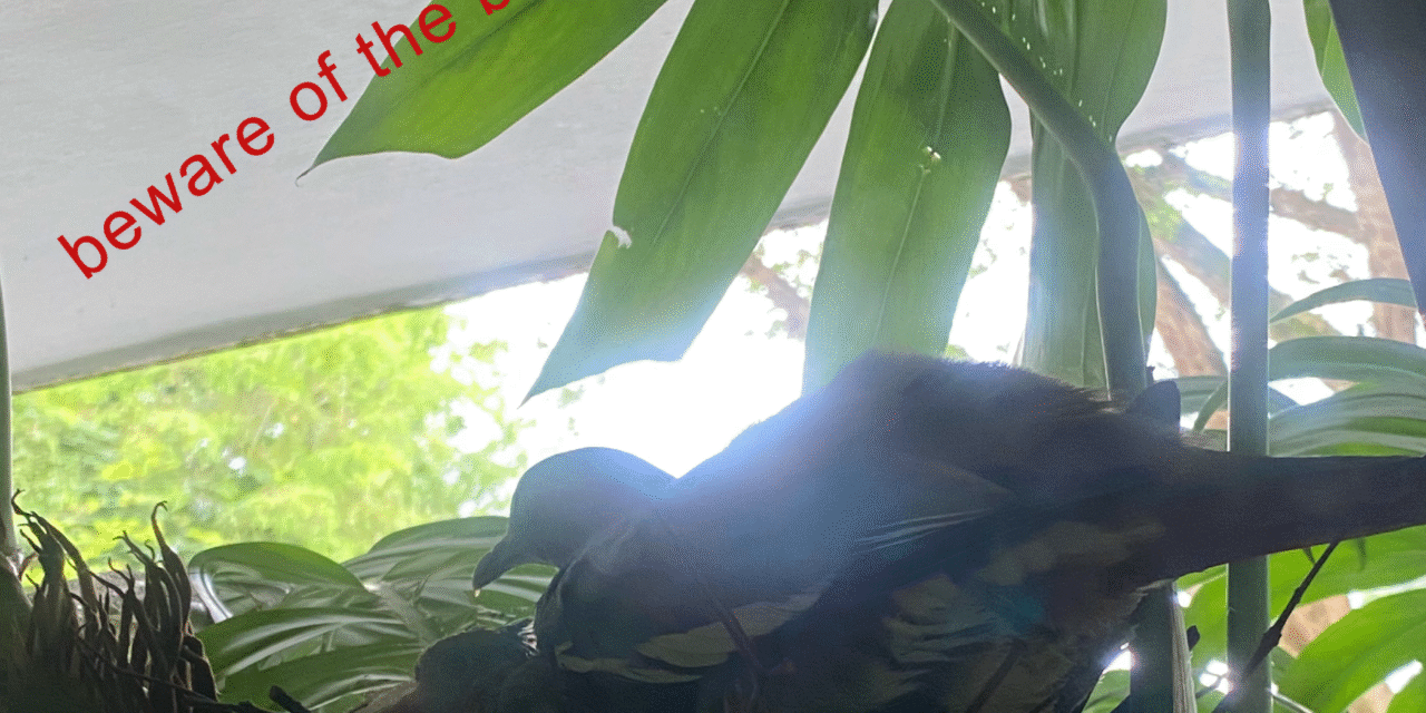 beware of the balcony